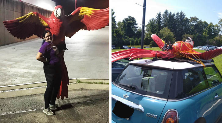 Illustration de l'article : 22 amazing finds found in trash cans and dumpsters