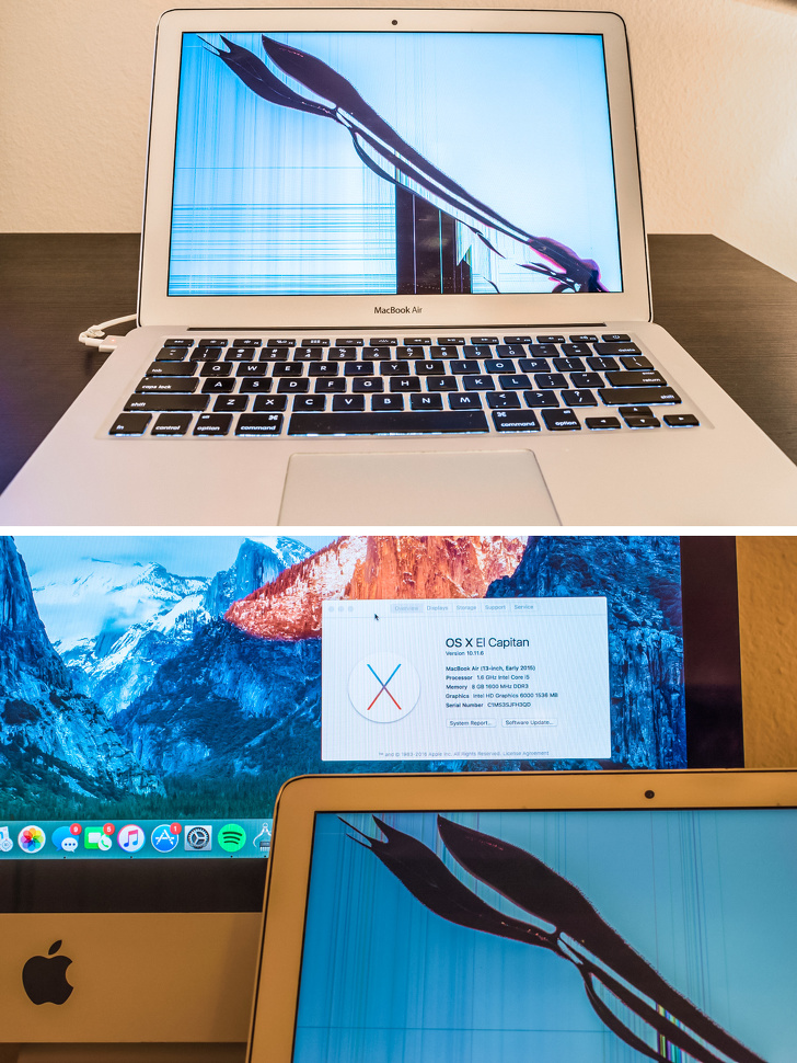 Illustration de l'article : 22 amazing finds found in trash cans and dumpsters