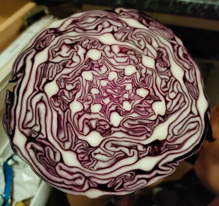 Illustration de l'article : 19 photos of everyday things that will bring a smile to your face