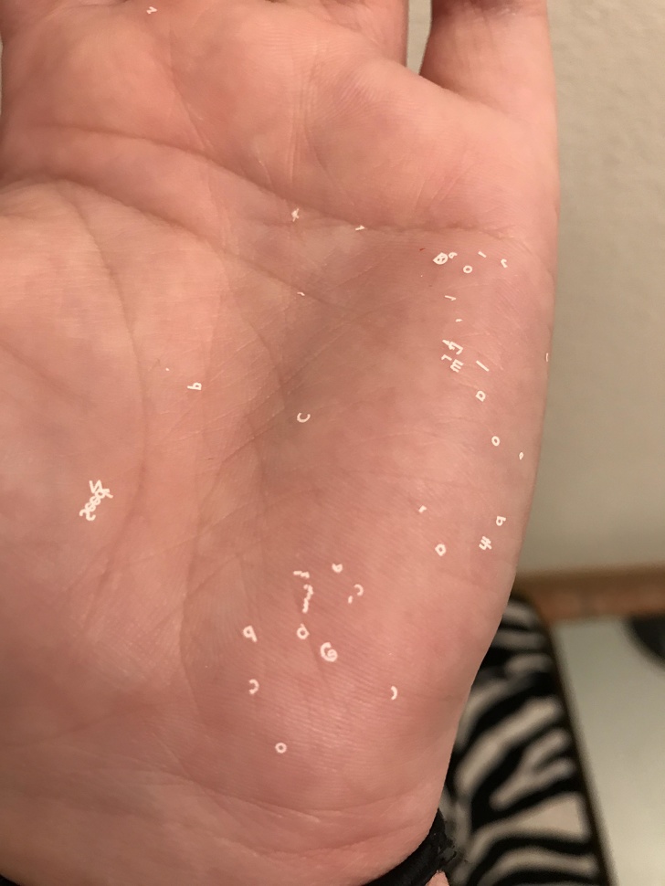 Illustration de l'article : 22 placement coincidences that were snapped and shared online