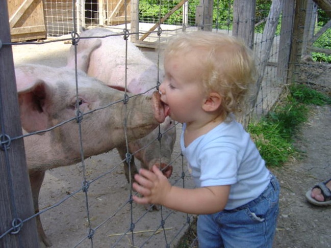Illustration de l'article : 28 photos that show the trials and tribulations of being a parent