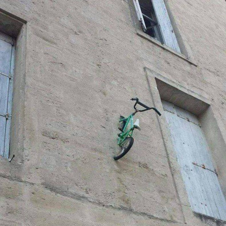 Illustration de l'article : 30 people snapped doing something completely out of the ordinary