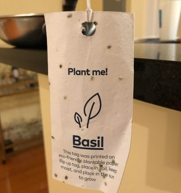 Illustration de l'article : 17 normal everyday items that take it up a notch