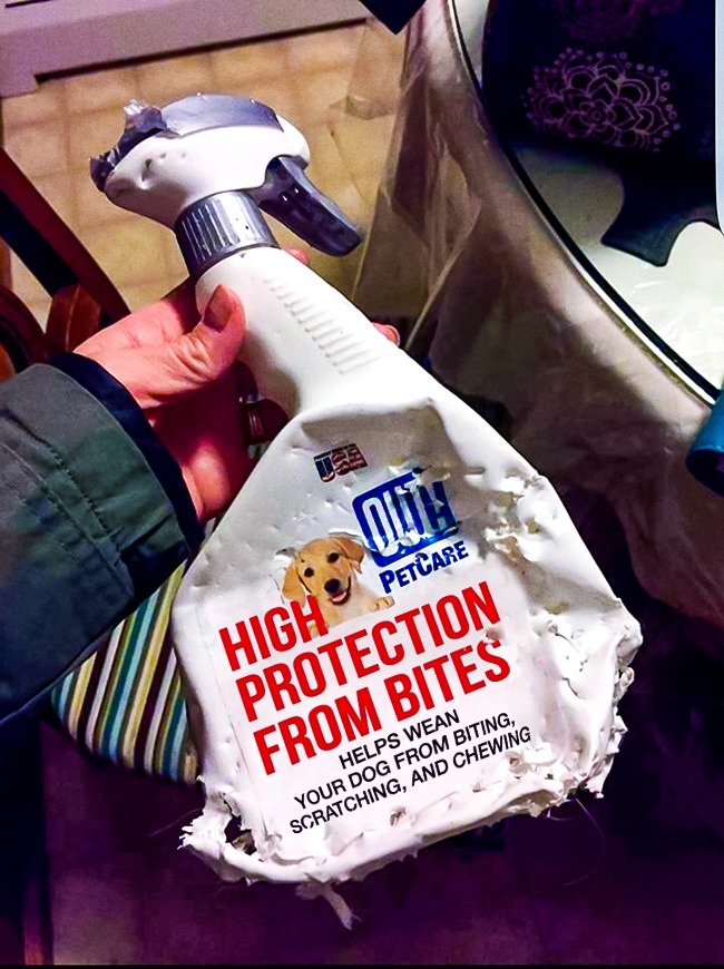 Illustration de l'article : 25 coincidences that take irony to a whole new level