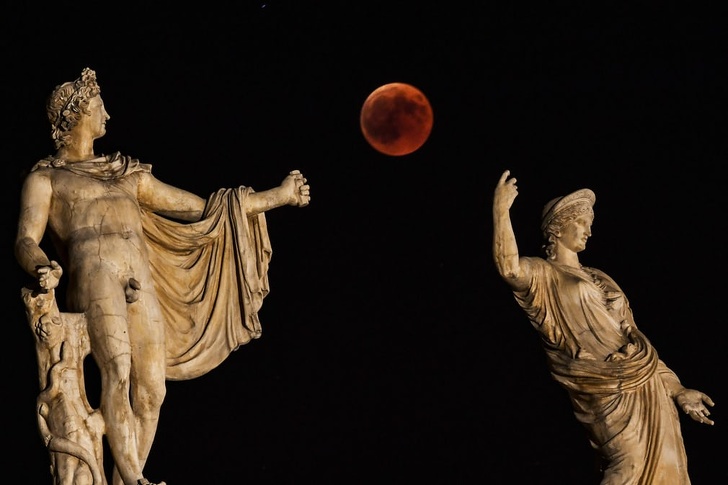 Illustration de l'article : 9 photos where the background steals the show