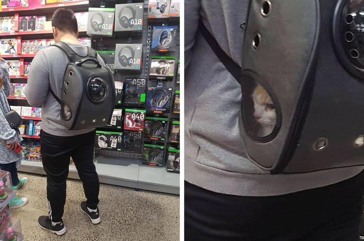 Illustration de l'article : 23 unsettling photos that require a closer look!