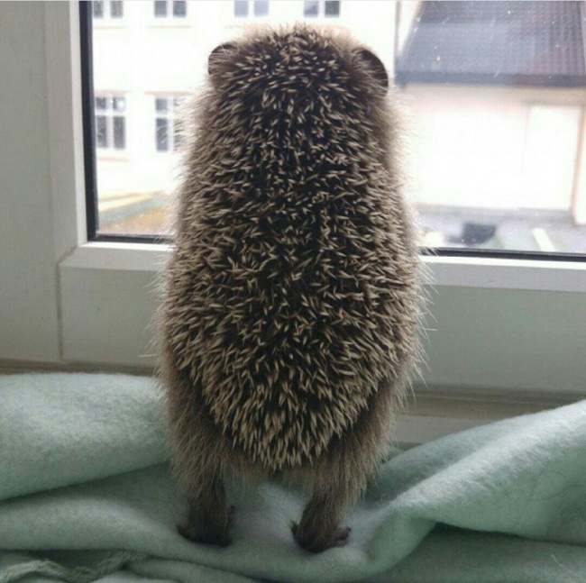 Illustration de l'article : 17 pictures that will stir your emotions