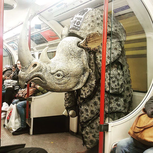 Illustration de l'article : 30 weird and funny sights on the subway