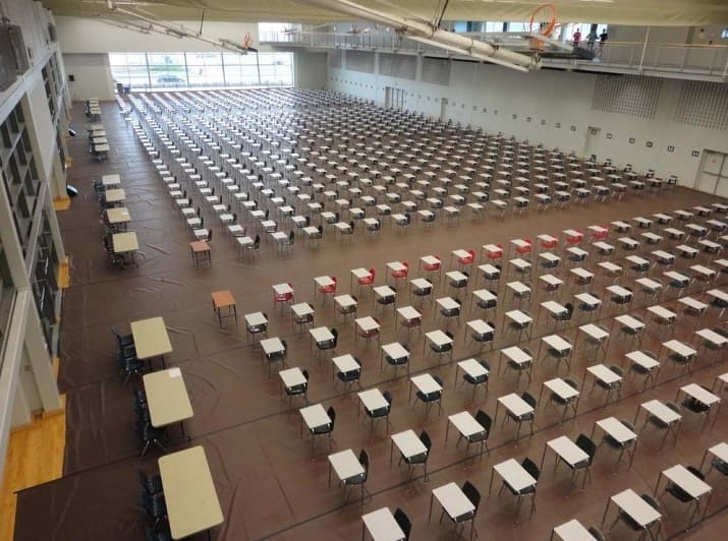 Illustration de l'article : 25 photos of near-perfection that are a sheer pleasure to admire