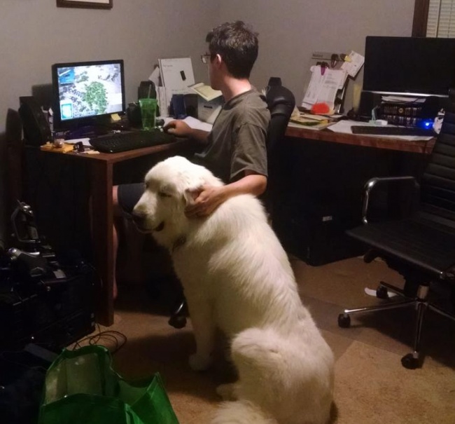 Illustration de l'article : 18 guys who are so adorable they deserve a medal