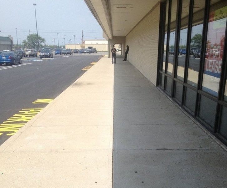 Illustration de l'article : 20 images that brush with perfection