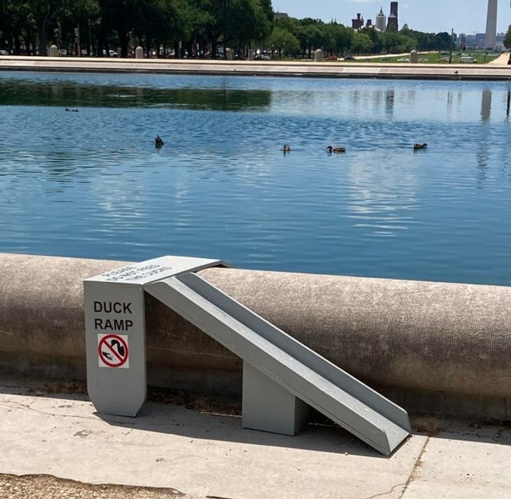Illustration de l'article : 20 photos of things every city should do