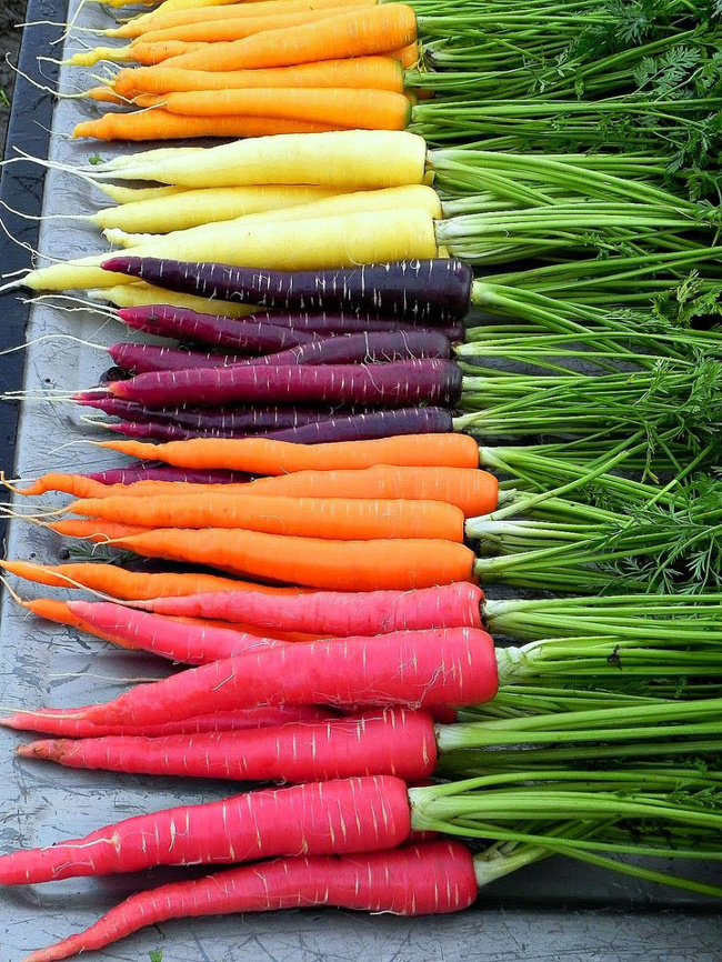 Illustration de l'article : 24 photos of unusual things spotted around the world