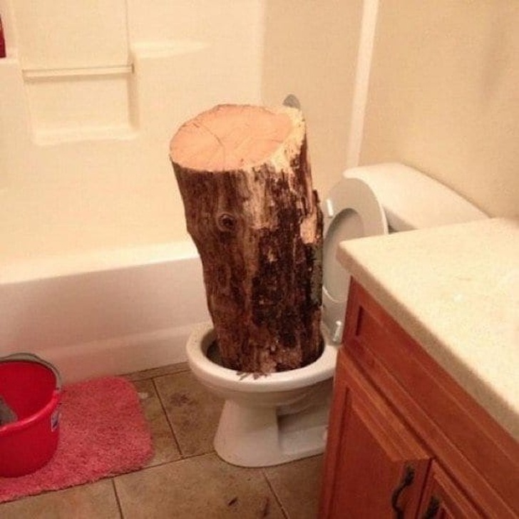 Illustration de l'article : 18 weird sights that were snapped and shared online