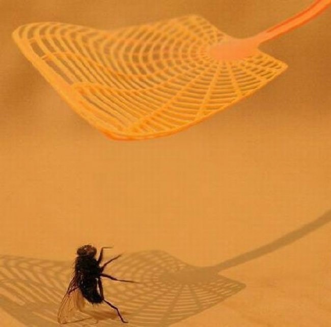 Illustration de l'article : 30 non-altered photographs taken a few seconds before an inevitable fall