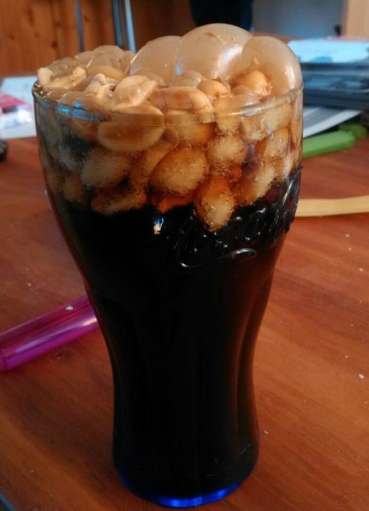 Illustration de l'article : 18 people who immortalized and shared their stomach-churning experience