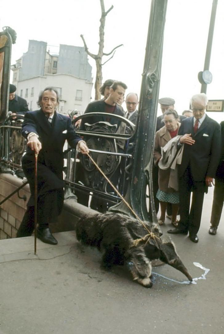 Illustration de l'article : 24 rare historical photos