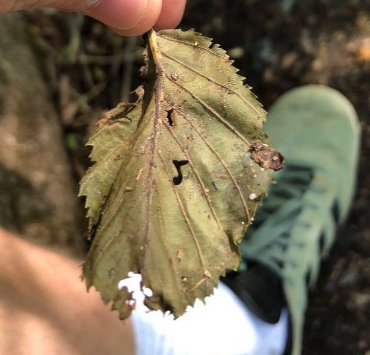 Illustration de l'article : 20 images that brush with perfection