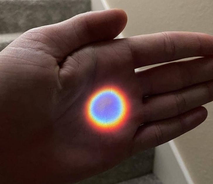 Illustration de l'article : 20 images that brush with perfection