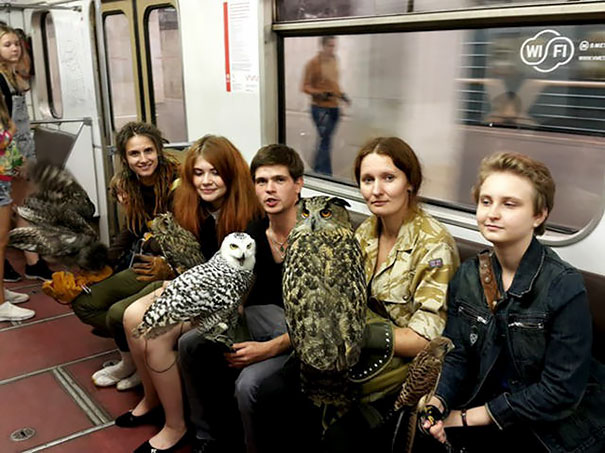 Illustration de l'article : 30 weird and funny sights on the subway