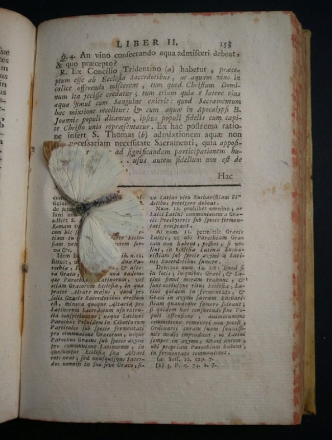 Illustration de l'article : 27 people who stumbled upon something amazing and decided to share their discovery