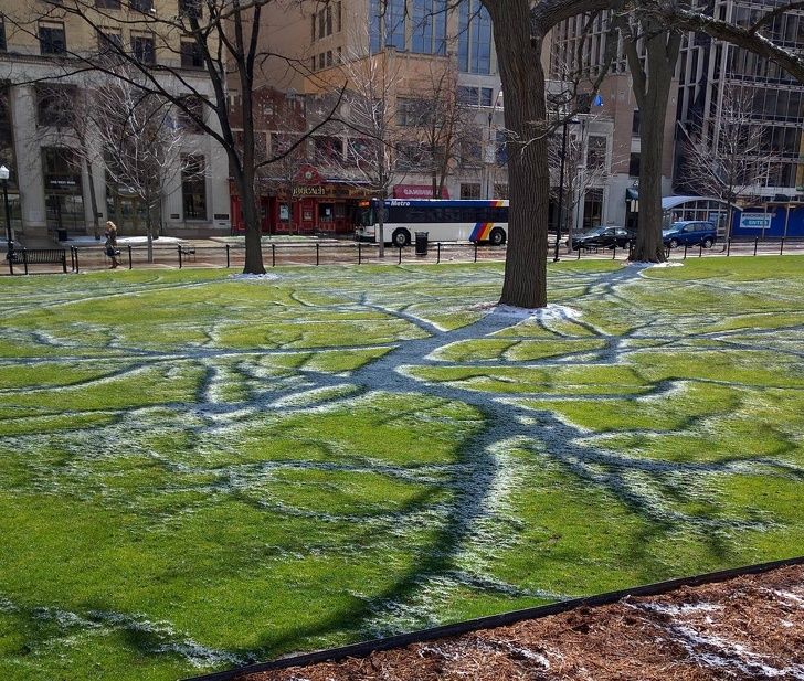 Illustration de l'article : 20 images that brush with perfection