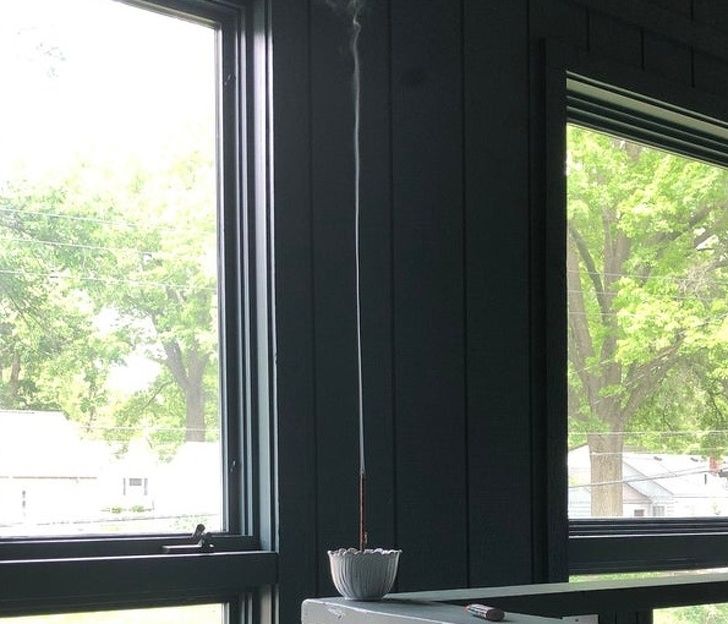 Illustration de l'article : 20 images that brush with perfection