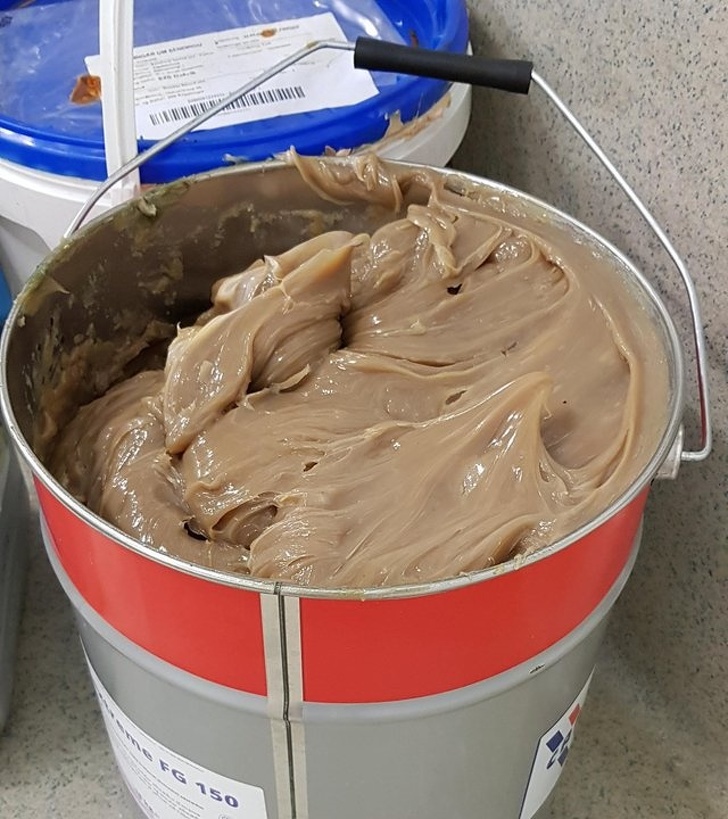 Illustration de l'article : 24 pictures of things that might be mistaken for food