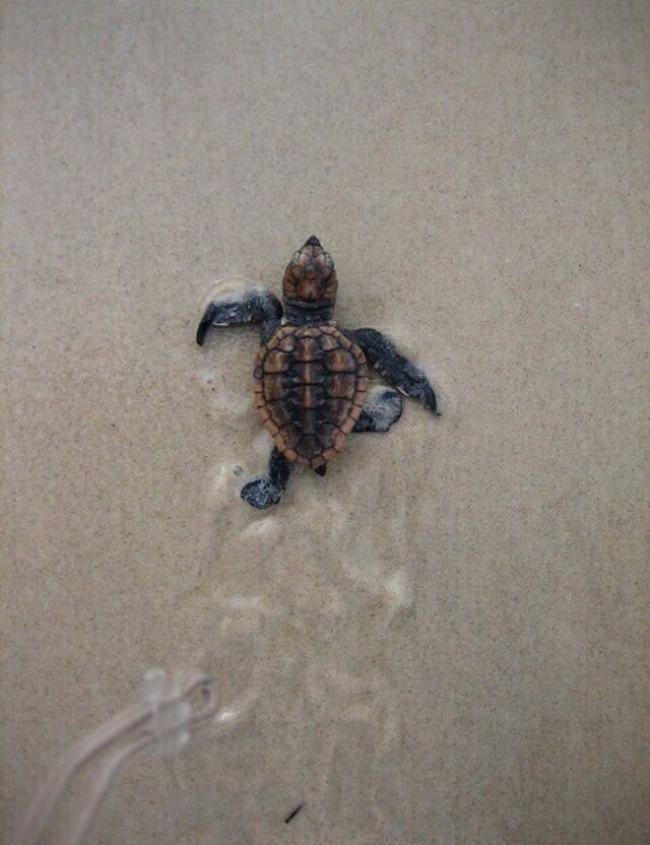 Illustration de l'article : 17 pictures that will stir your emotions