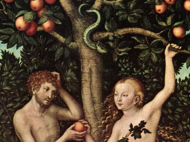 Illustration de l'article : 27 amazing facts that give us a new perspective on the world