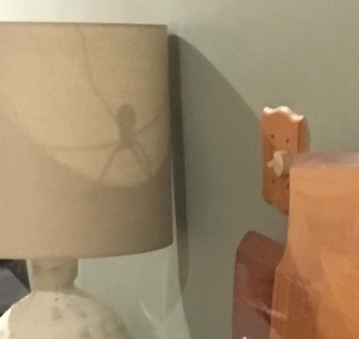 Illustration de l'article : 23 unsettling photos that require a closer look!