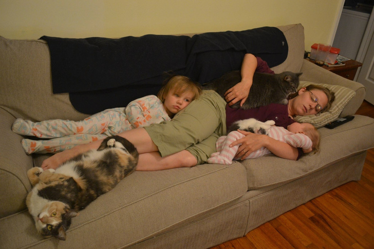 Illustration de l'article : 17 touching moments that show family love