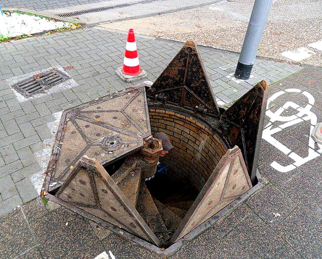 Illustration de l'article : 24 photos of unusual things spotted around the world