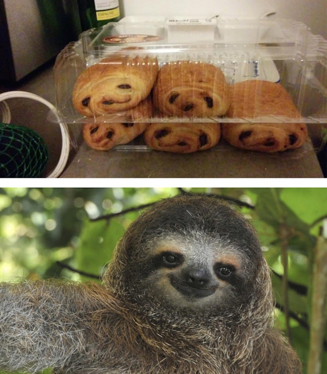 Illustration de l'article : 15 things that bear an uncanny resemblance to people or animals