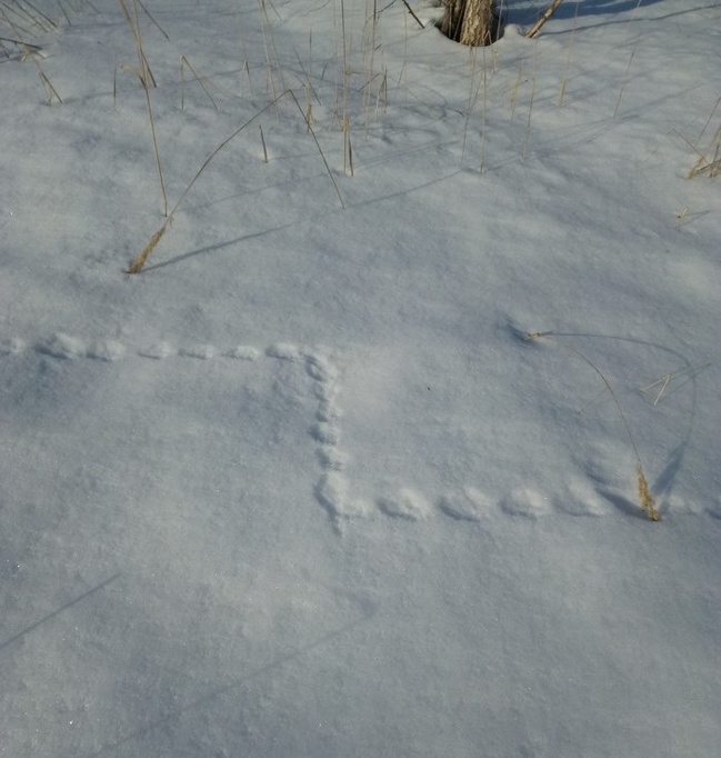 Illustration de l'article : Check out these 20 visually satisfying and soothing photos