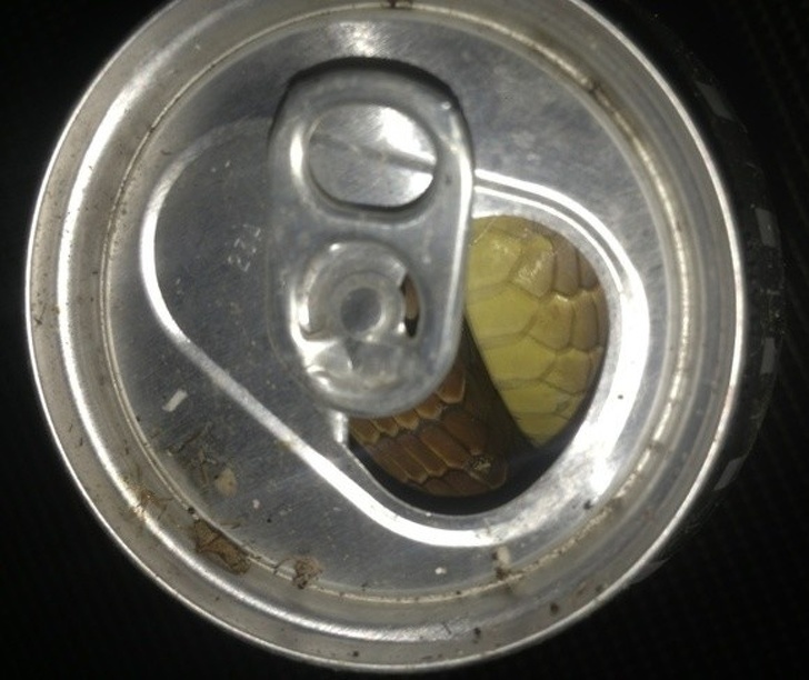 Illustration de l'article : 18 people who immortalized and shared their stomach-churning experience