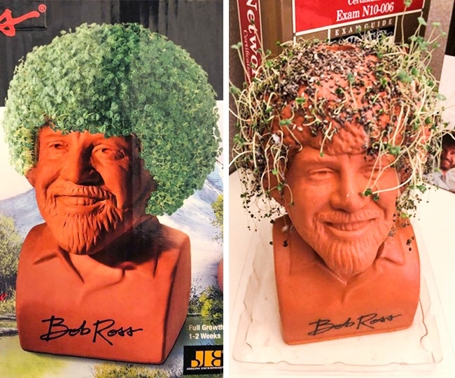 Illustration de l'article : 25 cringe-worthy moments captured on camera