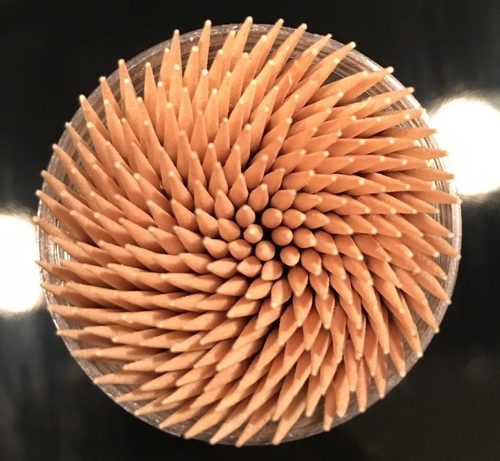 Illustration de l'article : 20 images that brush with perfection