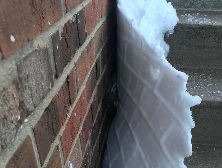 Illustration de l'article : 20 images that brush with perfection