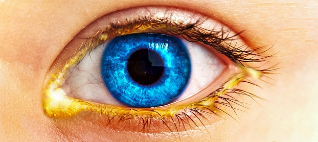 Illustration de l'article : 27 amazing facts that give us a new perspective on the world