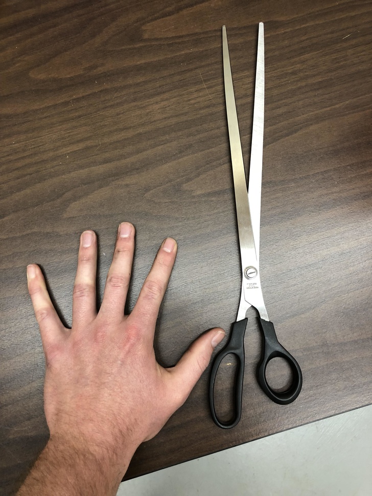 Illustration de l'article : 18 weird sights that were snapped and shared online