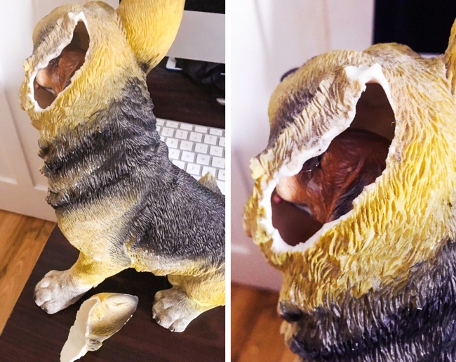 Illustration de l'article : 25 cringe-worthy moments captured on camera