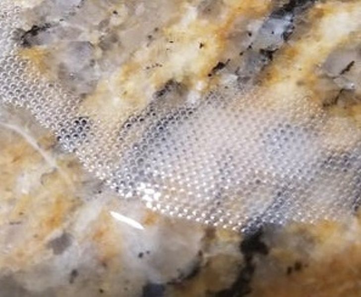 Illustration de l'article : 20 images that brush with perfection