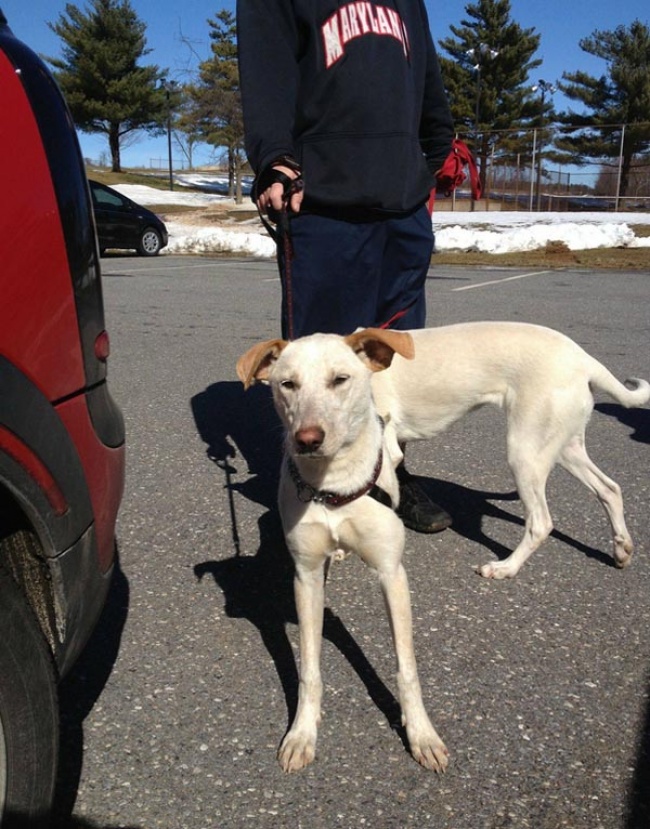 Illustration de l'article : 25 photos that prove it's all in the angle