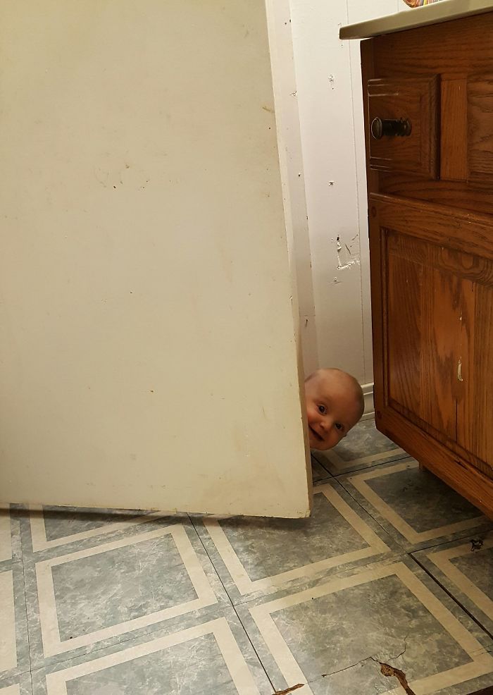 Illustration de l'article : 24 photos that sum up life as a parent