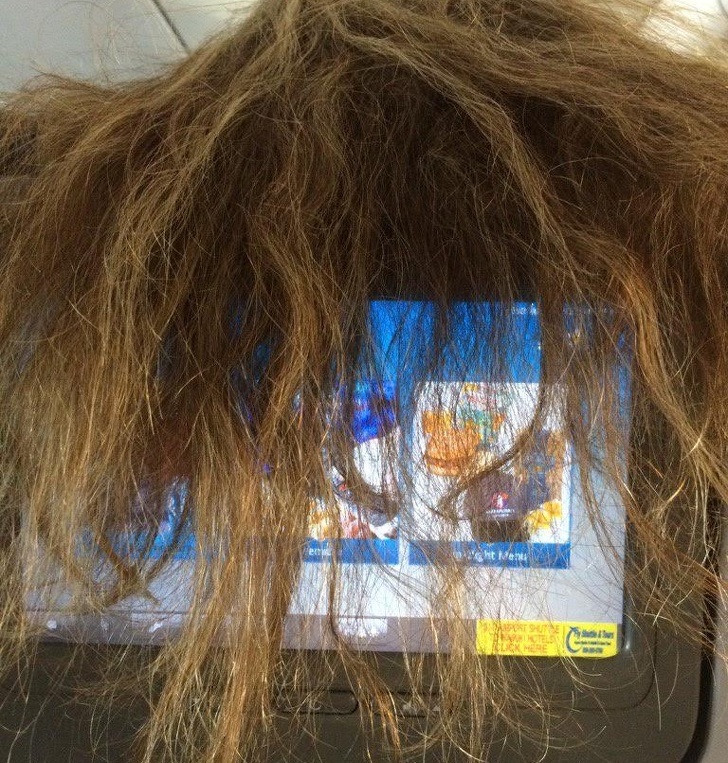 Illustration de l'article : 22 photos that show the strange behavior of some people
