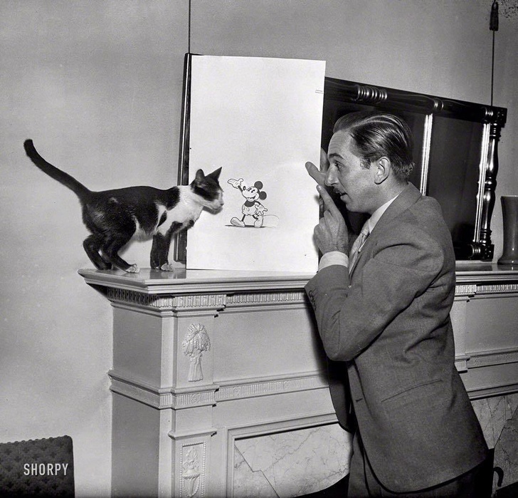 Illustration de l'article : 24 rare historical photos