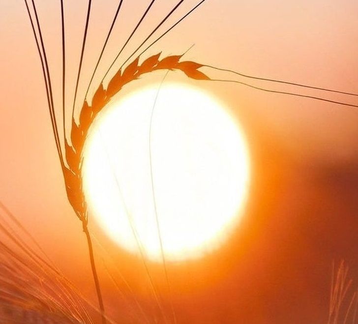 Illustration de l'article : 20 images that brush with perfection