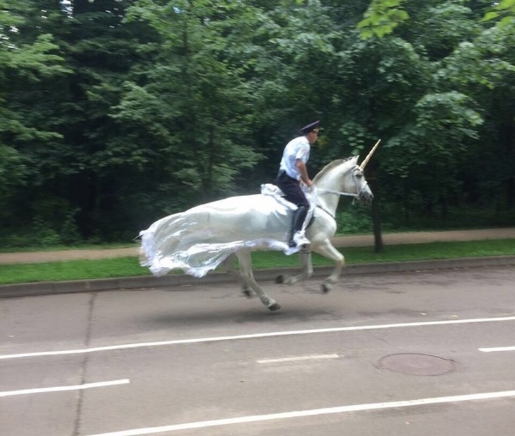 Illustration de l'article : 21 people who were snapped doing some pretty crazy stuff!