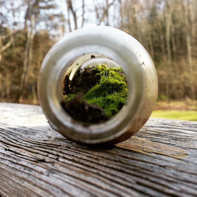 Illustration de l'article : 27 people who stumbled upon something amazing and decided to share their discovery